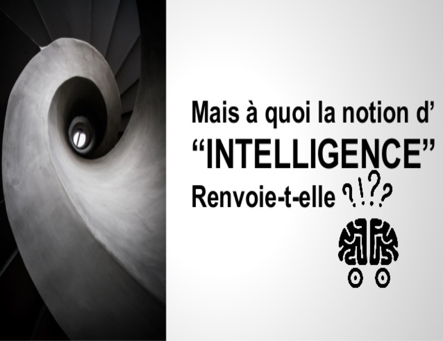 Intélligence